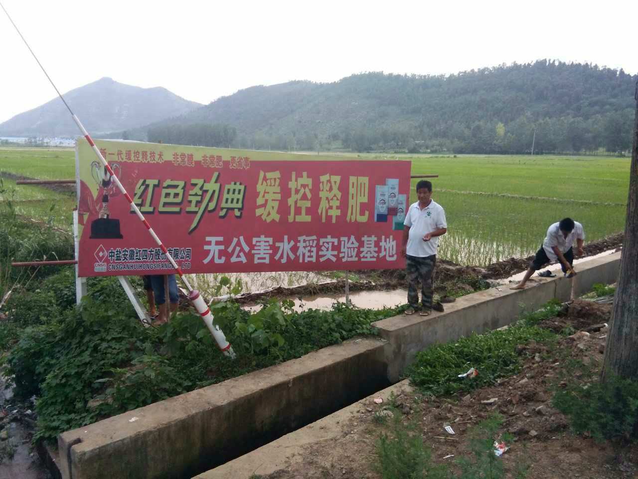 在线麻豆兔子九一无公害水稻麻豆国产精品无码料