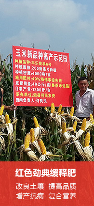 在线麻豆兔子九一会员注册