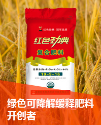 在线麻豆兔子九一会员找回密码